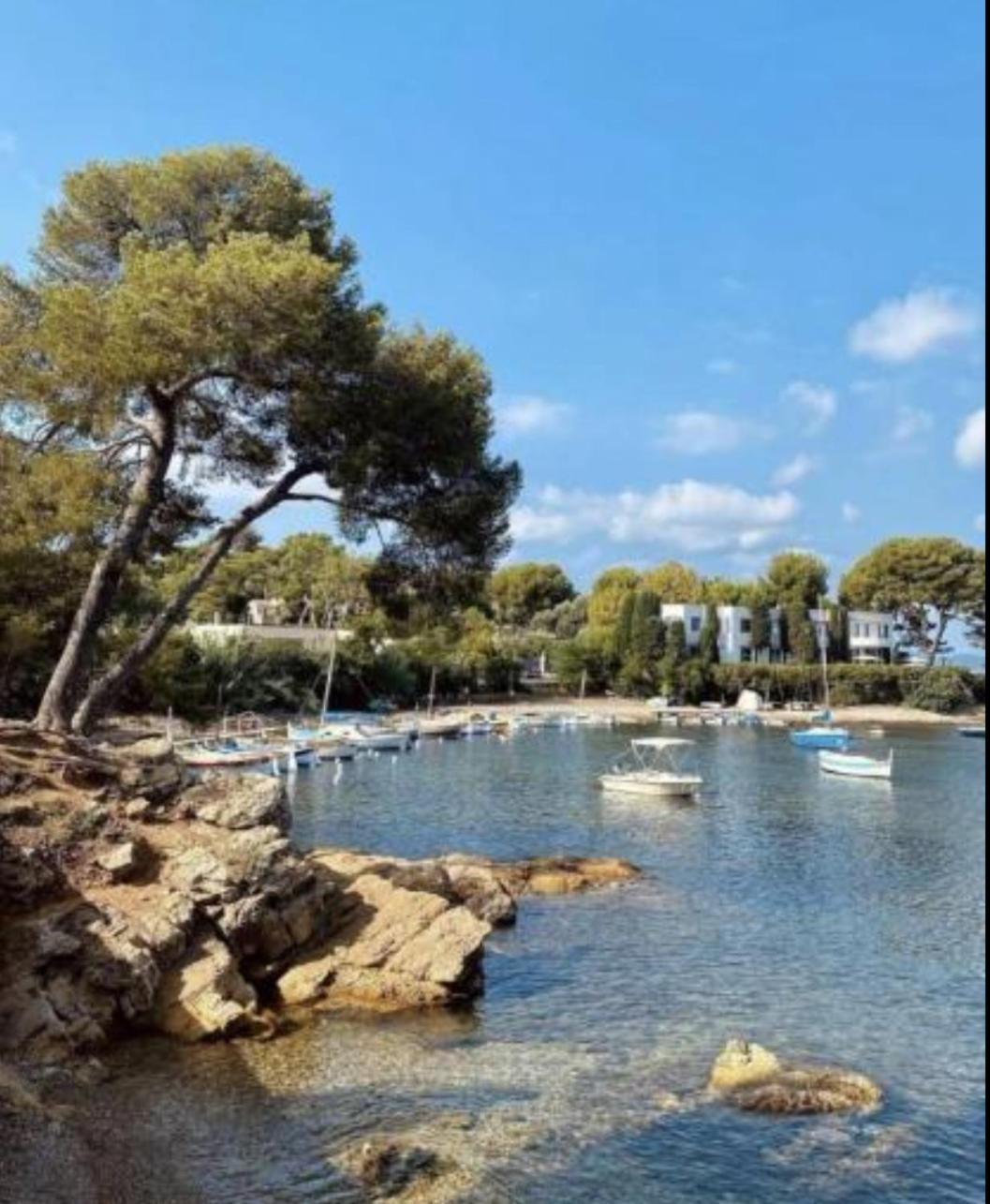 Incredible Loft In Vieil Antibes With Ac Apartment Bagian luar foto